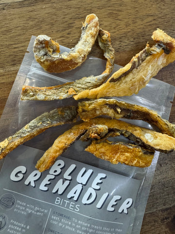 Blue Grenadier Bites