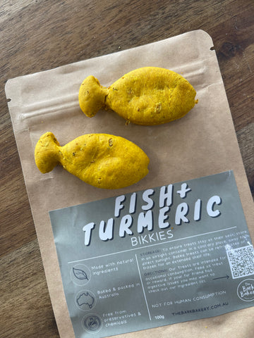 Fish and Turmeric Bikkies