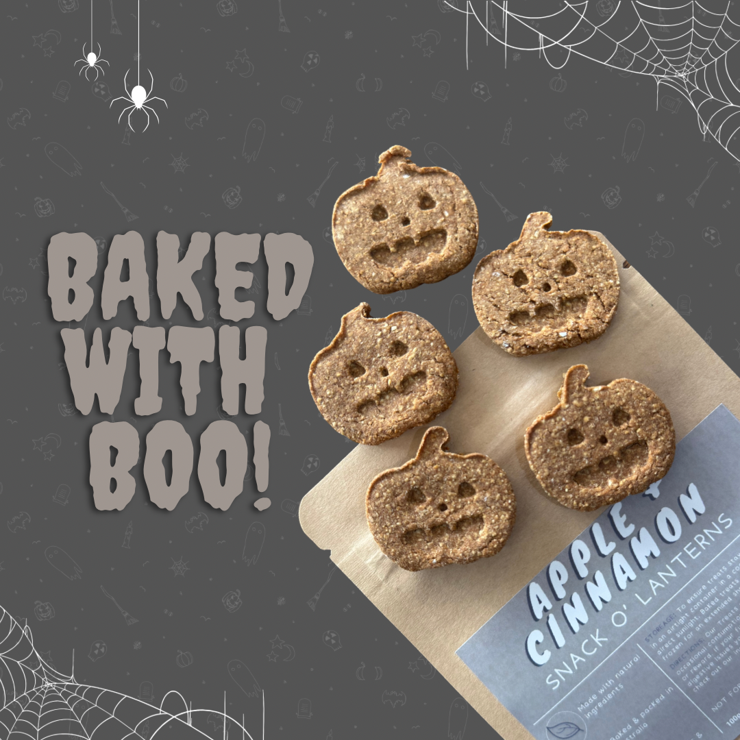 Apple + Cinnamon Snack O’ Lanterns