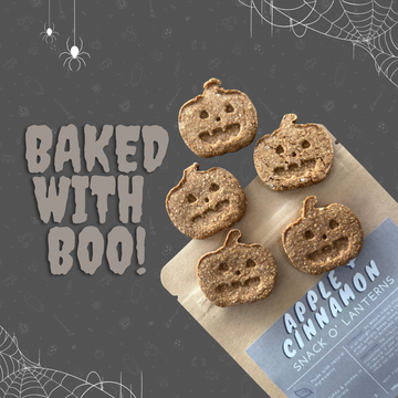 Apple + Cinnamon Snack O’ Lanterns