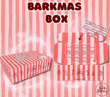 Barkmas Box