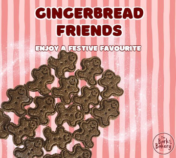 Gingerbread Friends